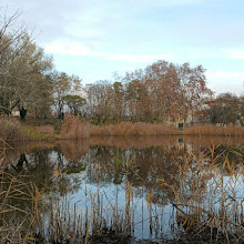 Parc Montreau