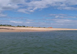 Wells Harbour Tours