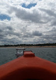 Wells Harbour Tours