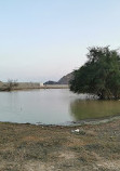 Dibba albaia Dam