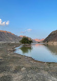 Dibba albaia Dam