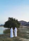 Dibba albaia Dam