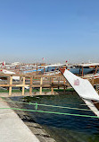 Doha Skyline Viewpoint