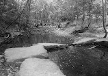 Walker Nature Center