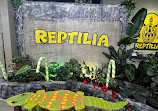 Reptilia Whitby