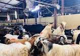 Dubai Cattle Market