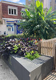 Skatepark de Montreuil