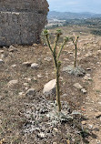 Feraklos Castle