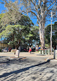 Marrickville Organic Food Market