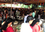 Punkunnam Sree Shiva Temple