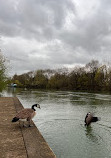 Bord de Marne