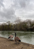 Bord de Marne