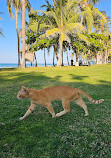 Qurum Beach Walk