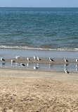 Qurum Beach Walk