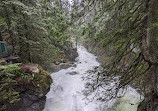 Lynn Canyon Ecology Centre