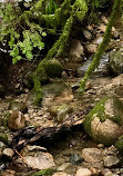 Lynn Canyon Ecology Centre