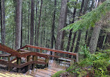 Lynn Canyon Ecology Centre