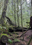 Lynn Canyon Ecology Centre