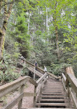 Lynn Canyon Park East Parking Lot