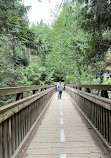 Lynn Canyon Park East Parking Lot