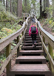 Quarry Rock