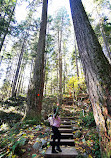 Quarry Rock