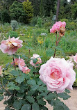 Jardin Botanique et Roseraie