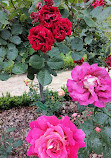 Jardin Botanique et Roseraie