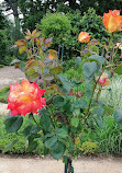 Jardin Botanique et Roseraie