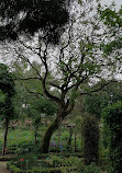 Jardin Botanique et Roseraie