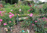 Jardin Botanique et Roseraie