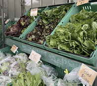 Irvine Farmers Market