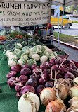 Irvine Farmers Market