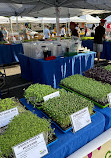 Irvine Farmers Market