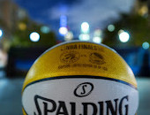 David Crombie Park Basketball Court