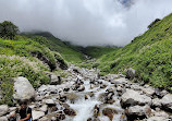 Valley of Flowers National Park