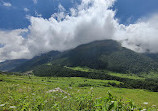 Valley of Flowers National Park