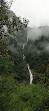 Valley of Flowers National Park