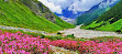 Valley of Flowers National Park