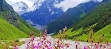 Valley of Flowers National Park