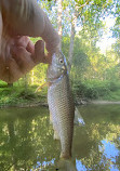 Middle Patuxent Environmental Area