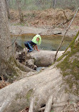 Middle Patuxent Environmental Area