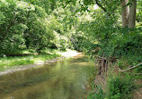 Middle Patuxent Environmental Area