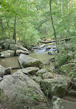 Middle Patuxent Environmental Area