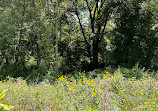 Middle Patuxent Environmental Area