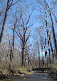 Cabin John Trail Trailhead at Goya Drive