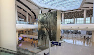 Louis Armstrong New Orleans International Airport