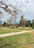 Boiling Springs Community Park