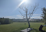 Glen Lake Beach Park