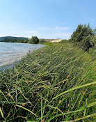 Glen Lake Beach Park